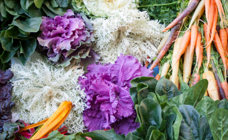 Curso Online de Alimentación Vegetariana y Vegana saludable en abril