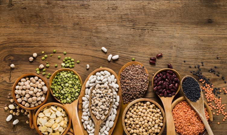 Taller On line de Alimentación Vegetariana I  en julio